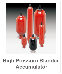 accumulator-high pressure bladder